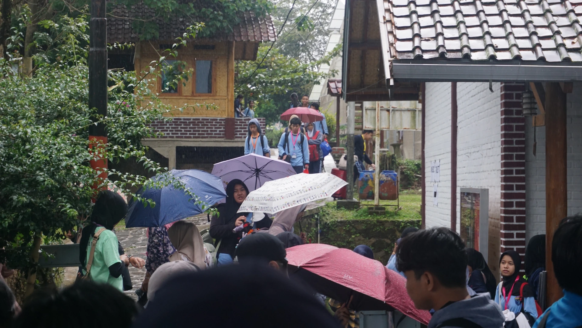 Gallery image from 2026