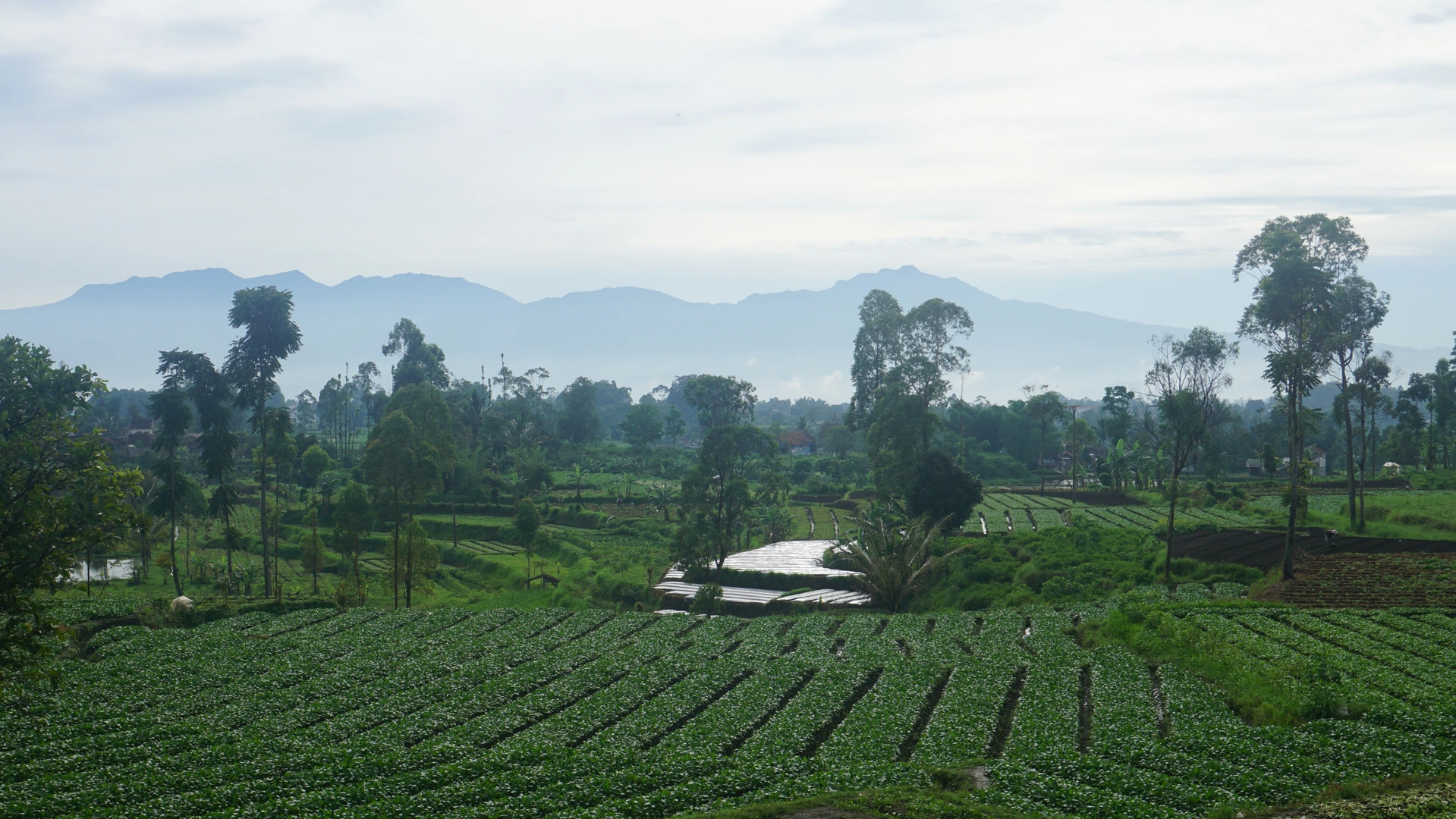 Gallery image from 2026