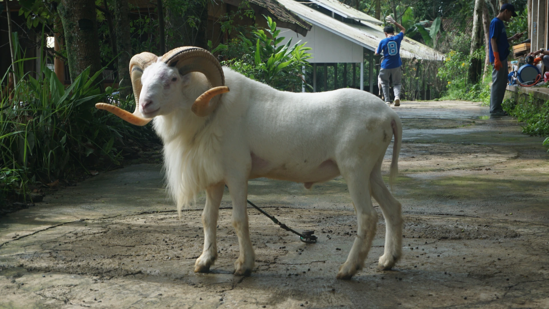 Gallery image from 2025