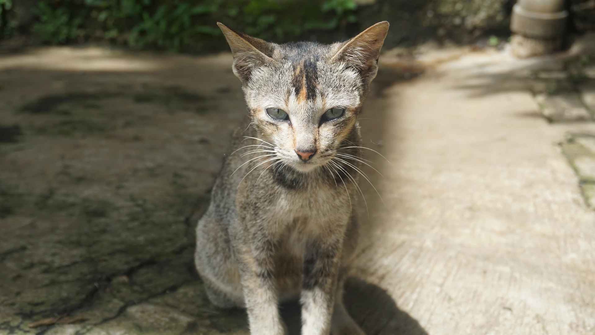 Gallery image from 2025