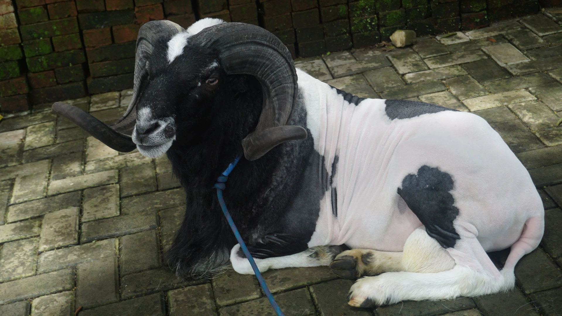 Gallery image from 2025