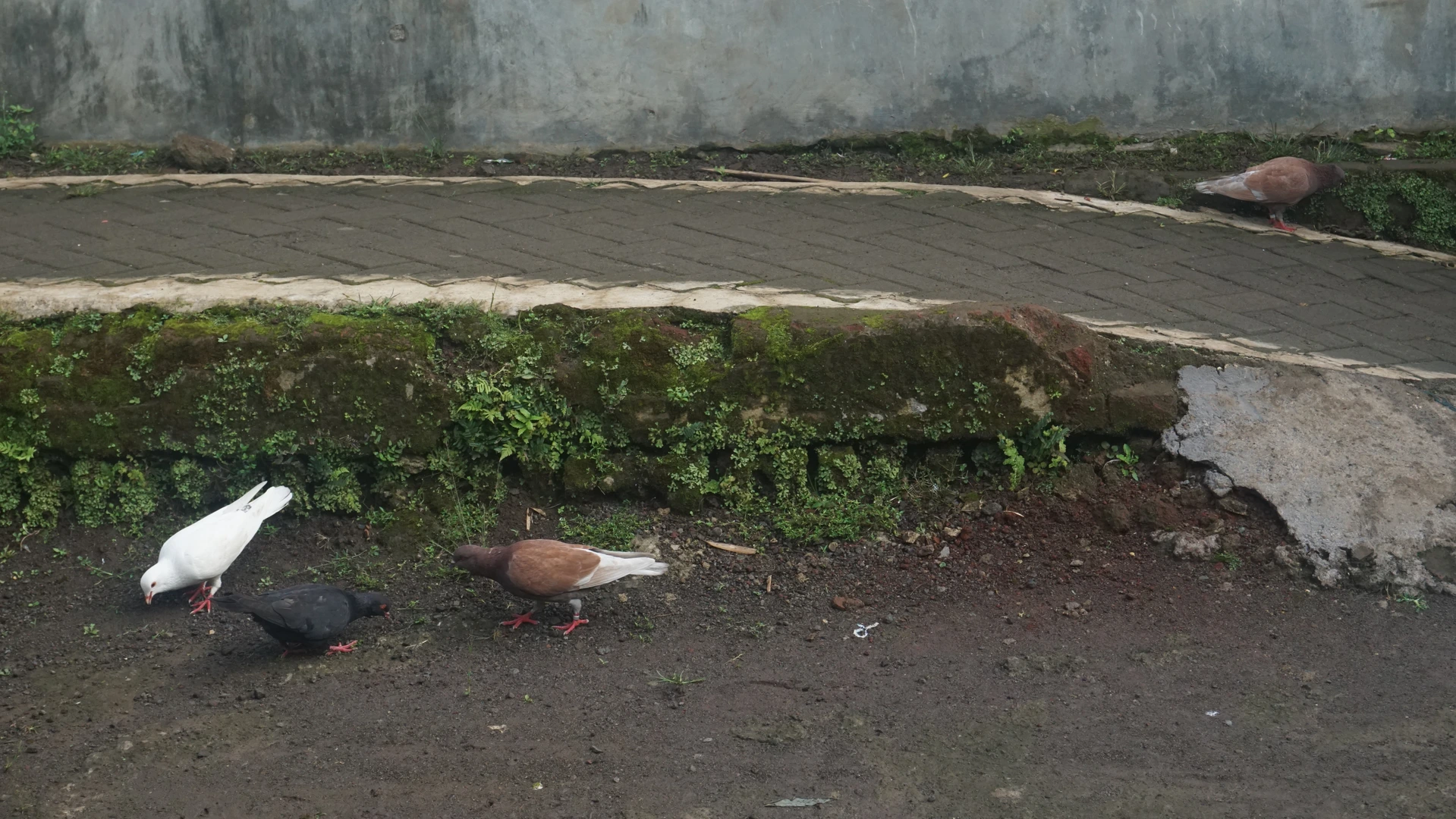 Gallery image from 2025