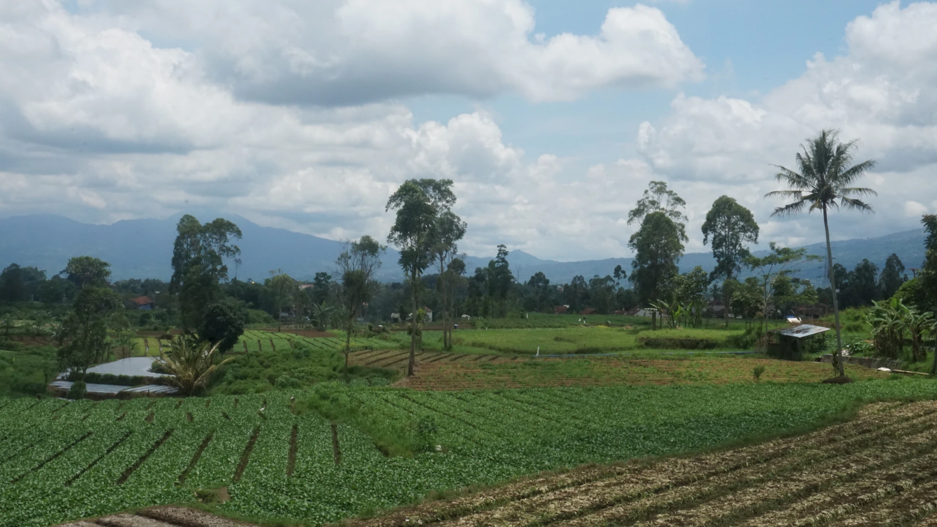 Gallery image from 2025